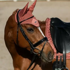 Bonnets Pour Chevaux*Equestrian Stockholm - Bonnet pour chevaux Modern Coral Orange