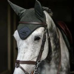 Bonnets Poneys|Bonnets Pour Chevaux*Equestrian Stockholm - Bonnet pour chevaux Modern Avenue Green armé Vert