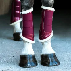 Best - Guêtres de dressage Bordeaux x2 Guêtres Fermées