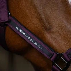 Sale - Licol et longe Black Raven Licols Poneys