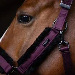 - Licol mouton et longe noir Black Raven Licols Poneys