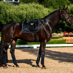 Discount - Tapis de dressage Midnight Blue Tapis De Dressage|Tapis De Selle