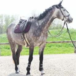 Dressage|Bonnets Pour Chevaux*Equiline - Bonnet long pour chevaux Noir