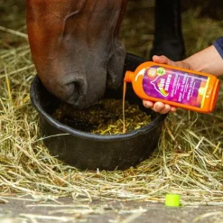 Outlet - Complément alimentaire liquide respiratoire aux herbes Immunitaire|Décongestionnant