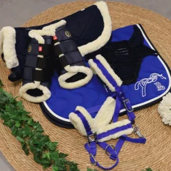 - Amortisseur Pro Air Amortisseurs