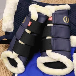 - Amortisseur Pro Air Amortisseurs