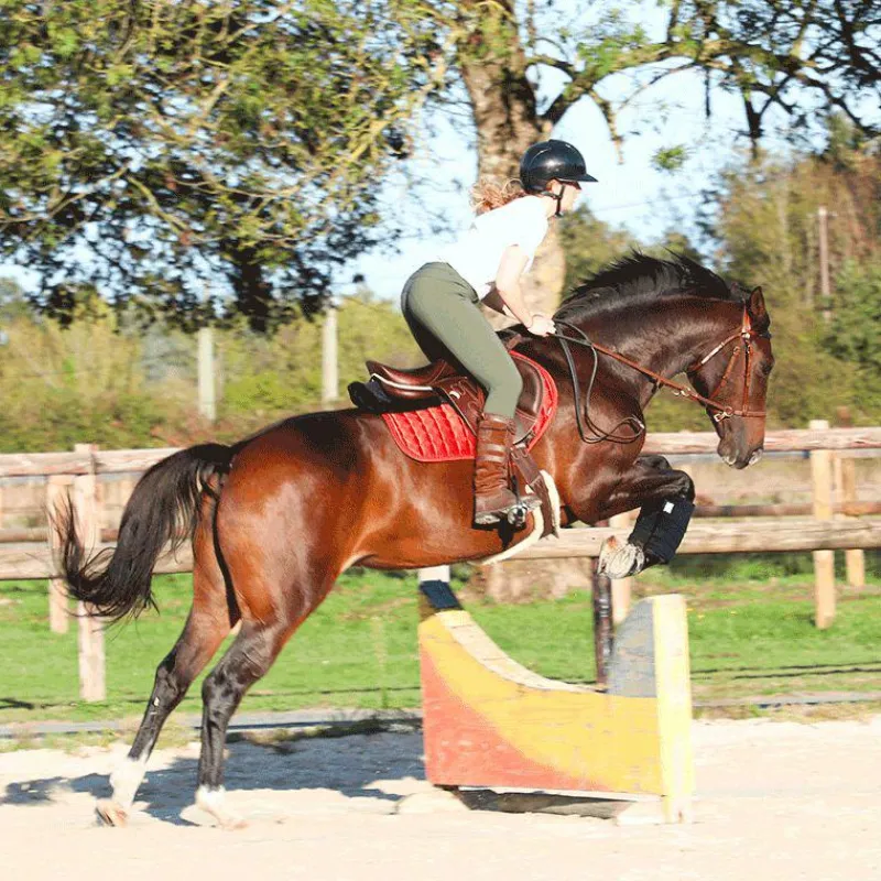 Online - Amortisseur teddy / Amortisseurs