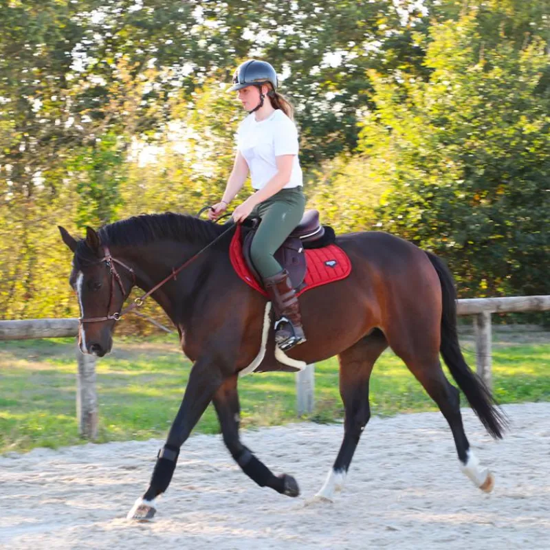 Online - Amortisseur teddy / Amortisseurs