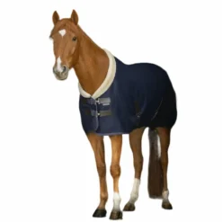 - Chemise Mesh Teddy Couvertures Et Chemises