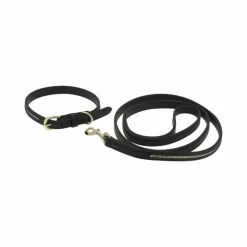 Colliers*Equithème - Collier et laisse pour chien Max Noir