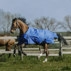 Couvertures Poneys|Couvertures Et Chemises*Equithème - Couverture d'extérieur Tyrex Aisance 1200D roi 0g Bleu