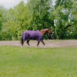 Couvertures Et Chemises*Equithème - Couverture Tyrex Aisance 600D prune 150g Bordeaux