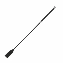 Hot - Cravache Studies Cravaches