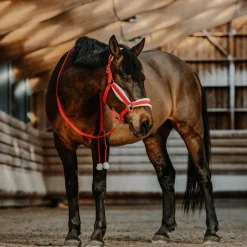 Ensembles Licols Et Longes*Equithème - Ensemble licol + longe Xmas Rouge