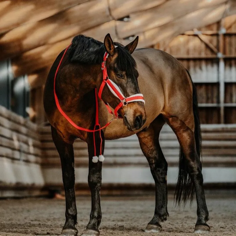 Ensembles Licols Et Longes*Equithème - Ensemble licol + longe Xmas Rouge