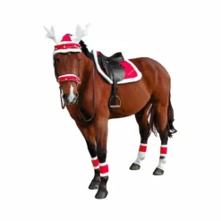Discount - Fourreaux de Bridon Noël x2 Accessoires De Bridon