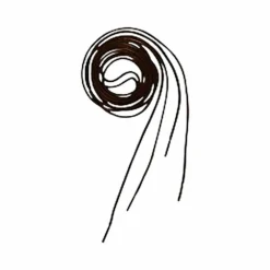 Accessoires Boots/ Bottes*Equithème - Lacets noir