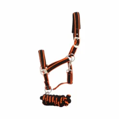 Licols Poneys|Ensembles Licols Et Longes*Equithème - Licol + longe Satiné noir/ Orange