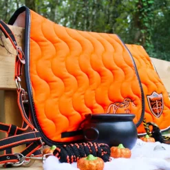 Licols Poneys|Ensembles Licols Et Longes*Equithème - Licol + longe Satiné noir/ Orange