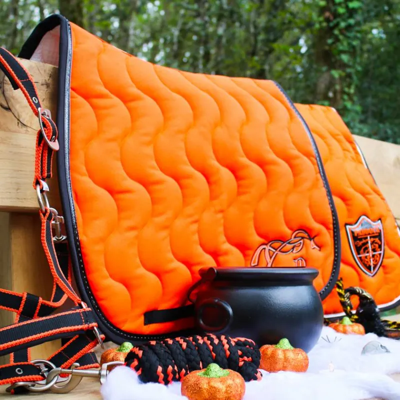 Licols Poneys|Ensembles Licols Et Longes*Equithème - Licol + longe Satiné noir/ Orange