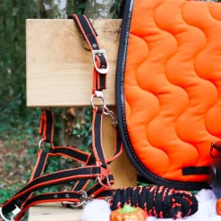 Licols Poneys|Ensembles Licols Et Longes*Equithème - Licol + longe Satiné noir/ Orange