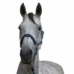Sale - Licol + longe Satiné /ciel Licols Poneys|Ensembles Licols Et Longes