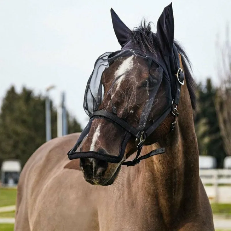 Masques Anti-Mouches Poneys|Masques Anti-Mouches*Equithème - Licol avec masque anti-mouches et UV Noir