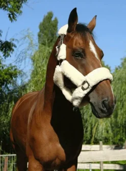 Licols Poneys*Equithème - Licol de transport Teddy marron/ écru