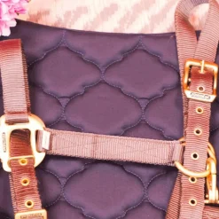 Élevage|Licols En Nylon*Equithème - Licol en nylon gris/ brun