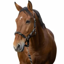 Sale - Licol et longe tressé beige/ choco/ noir Licols Poneys|Ensembles Licols Et Longes