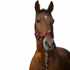 Outlet - Licol et longe tressé fuchsia/ gris/ noir Licols Poneys|Ensembles Licols Et Longes