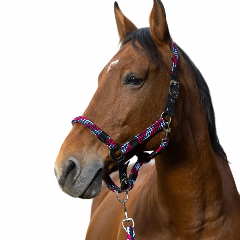Discount - Licol et longe tressé fuchsia/ bleu ciel/ marine Licols Poneys|Ensembles Licols Et Longes
