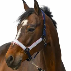 Sale - Licol nylon Check / rose Licols Poneys