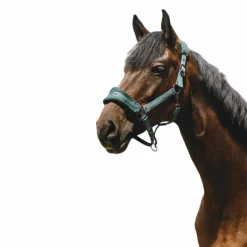 Outlet - Licol Nylon 3D Mesh Licols Poneys