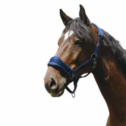 Best - Licol Nylon 3D Mesh roi Licols Poneys