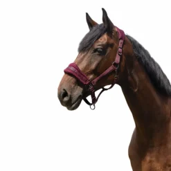 Licols Poneys*Equithème - Licol Nylon 3D Mesh Bordeaux