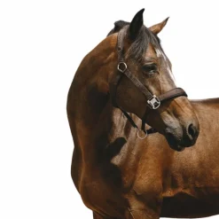 Hot - Licol Nylon Jacquard Licols Poneys