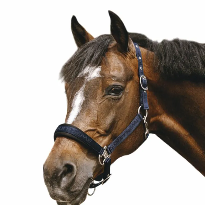 Licols Poneys*Equithème - Licol Nylon Jacquard Marine