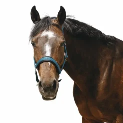 Licols Poneys*Equithème - Licol Nylon Jacquard canard Bleu