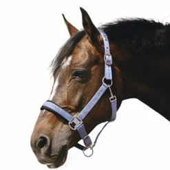 Outlet - Licol Nylon Jacquard ciel Licols Poneys