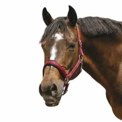 Sale - Licol Nylon Jacquard Licols Poneys