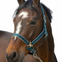 Licols Poneys*Equithème - Licol nylon Light foncé Vert