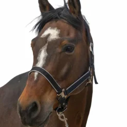 - Licol nylon Light Licols Poneys