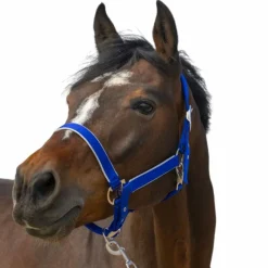 Outlet - Licol nylon Light roi Licols Poneys