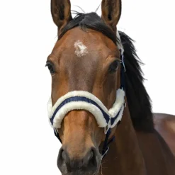 Sale - Licol nylon Mouton / blanc Licols Poneys