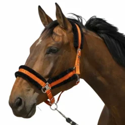 Best - Licol nylon Mouton / noir Licols Poneys