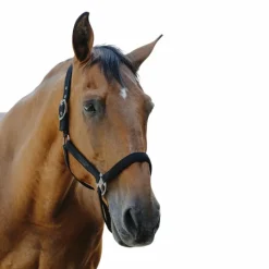 Licols Poneys*Equithème - Licol Nylon Protector Noir