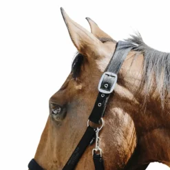 Licols Poneys*Equithème - Licol Nylon Protector Noir