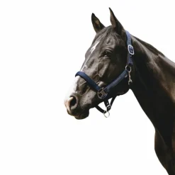 Licols Poneys*Equithème - Licol Nylon Protector Marine