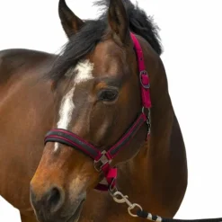 Clearance - Licol nylon Strass Licols Poneys